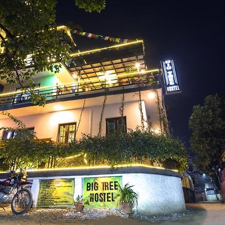 Big Tree Hostel Kathmandu Exterior photo